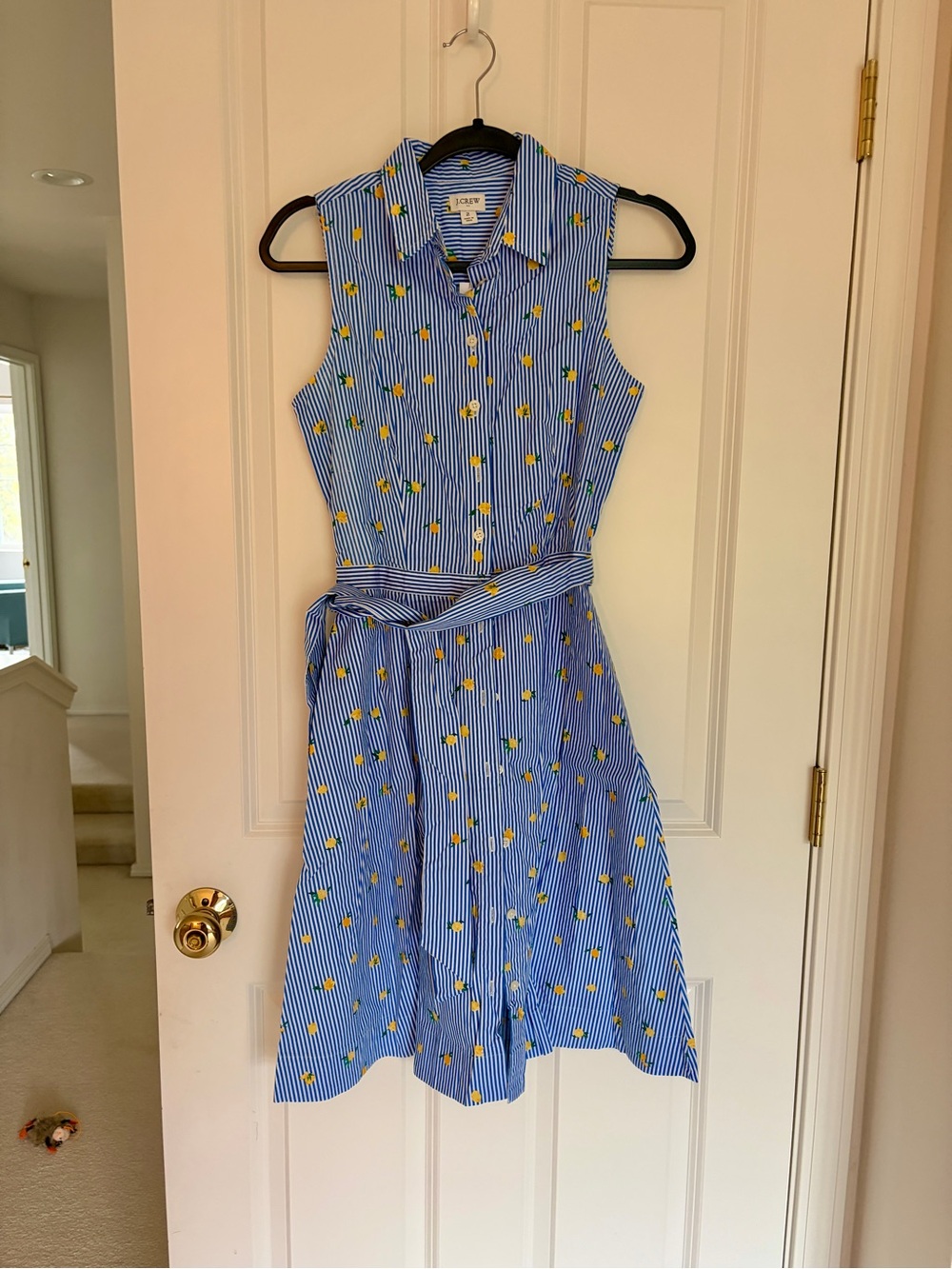 J. Crew Blue Striped Sleeveless Shirtdress with Cute Lemon Print